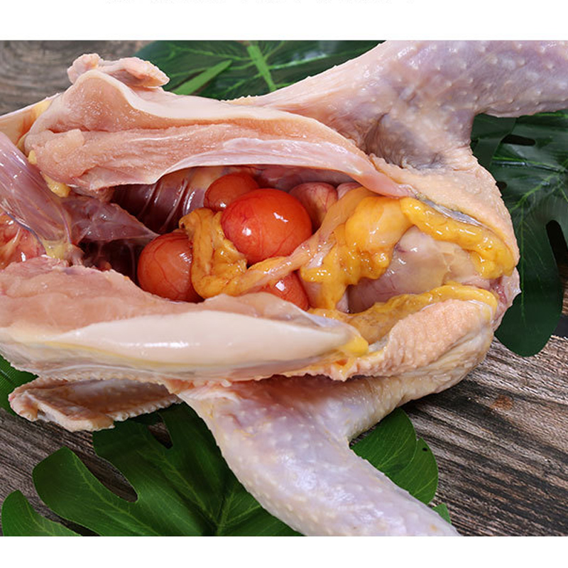 草鸡新鲜鸡现走地笨鸡农家农村2只母鸡老母整鸡