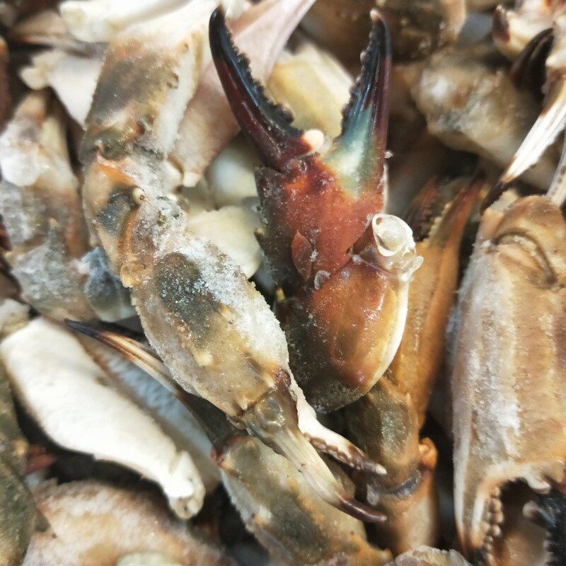 蟹钳花盖蟹甲东港海鲜新鲜冷冻麻辣鲜活蟹石手机保护套