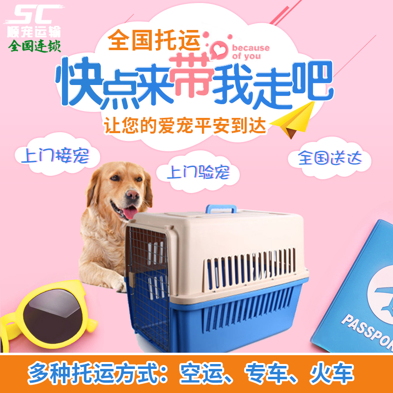 全国宠物托运北京上海杭州广州南昌快递空运宠物托运