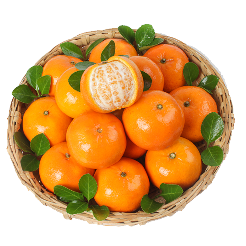 砂糖小蜜橘当季新鲜现摘冰糖桔子客