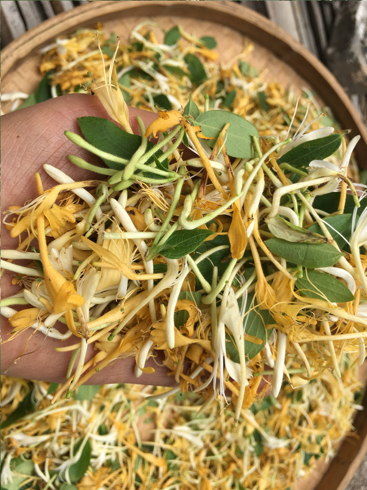 金银花野生金银花茶清火下火茶250g干花绒毛中药材金银花