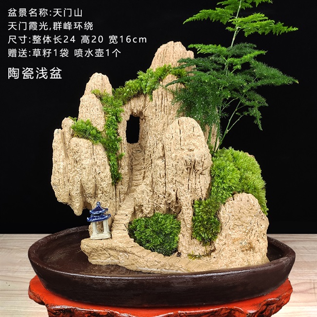 望岳造景小奇植物石植物观赏室内石鱼缸鱼缸假山其它园艺用品