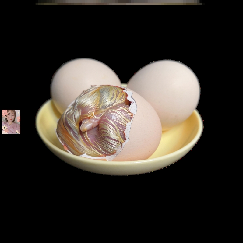 鸡蛋毛鸡蛋胚蛋专用烧烤凤凰胎蛋喜蛋毛蛋鸡毛蛋鸡活珠子