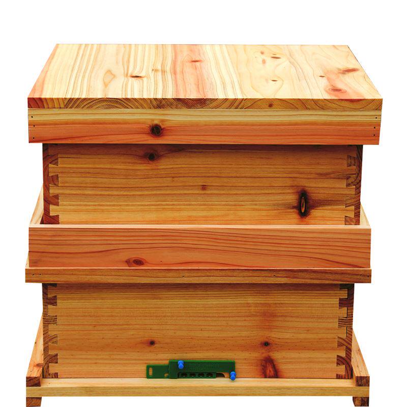 gn蜂箱全套中蜂j蜜蜂中蜂gn蜂箱龚凫羌从化式蜂箱中蜂国宝级养蜂