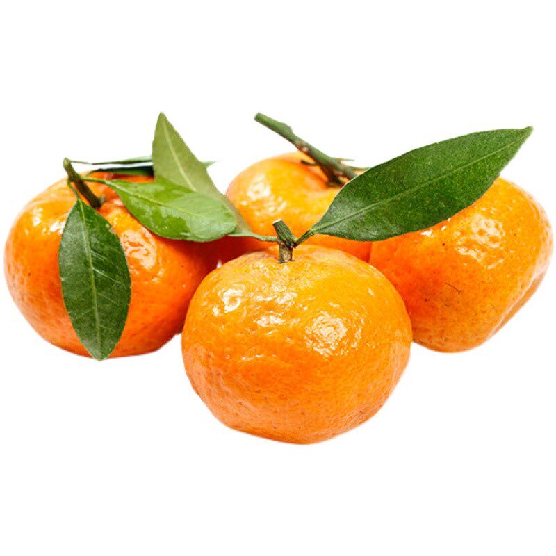 109桔子砂糖当季广西现摘整箱橘柑橘斤蜜橘水果5新鲜小沙糖桔