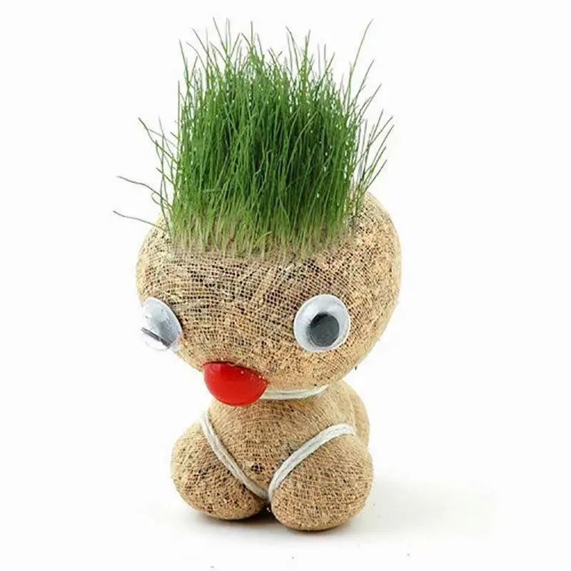 长草娃娃小花农小草抖音同款草头可爱创意小盆创意迷你植物