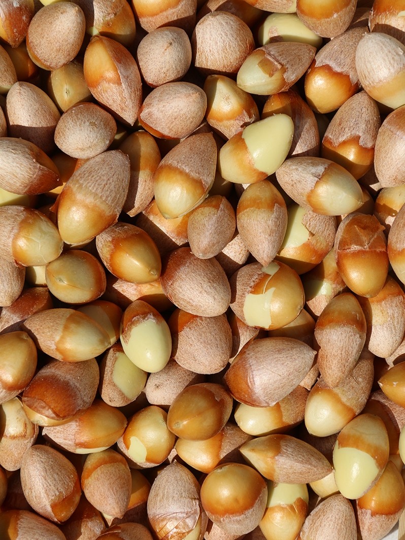 银杏果仁白果仁现剥手工非特特级3斤新鲜白果白果