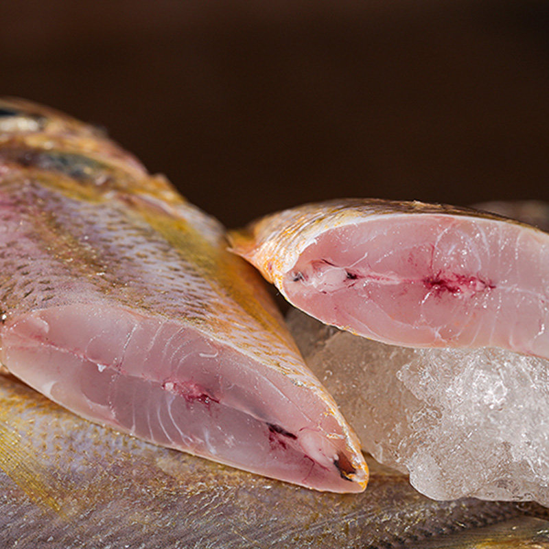 九鲜松门天和台州黄花鱼海黄鱼新鲜生鲜水产冷冻黄鱼