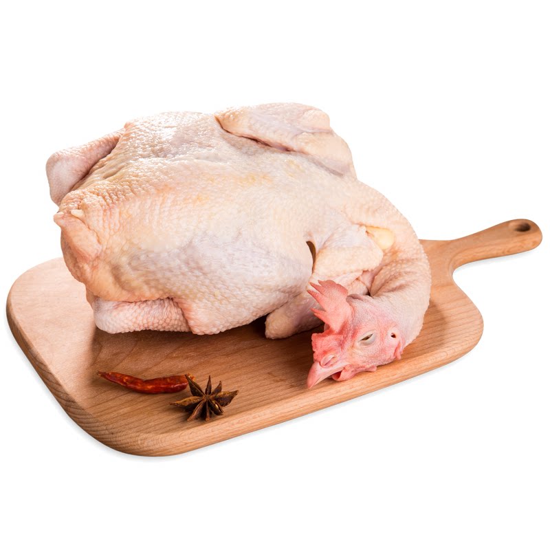 土鸡温氏天露清远麻鸡散养走路高品质农家慢养整鸡