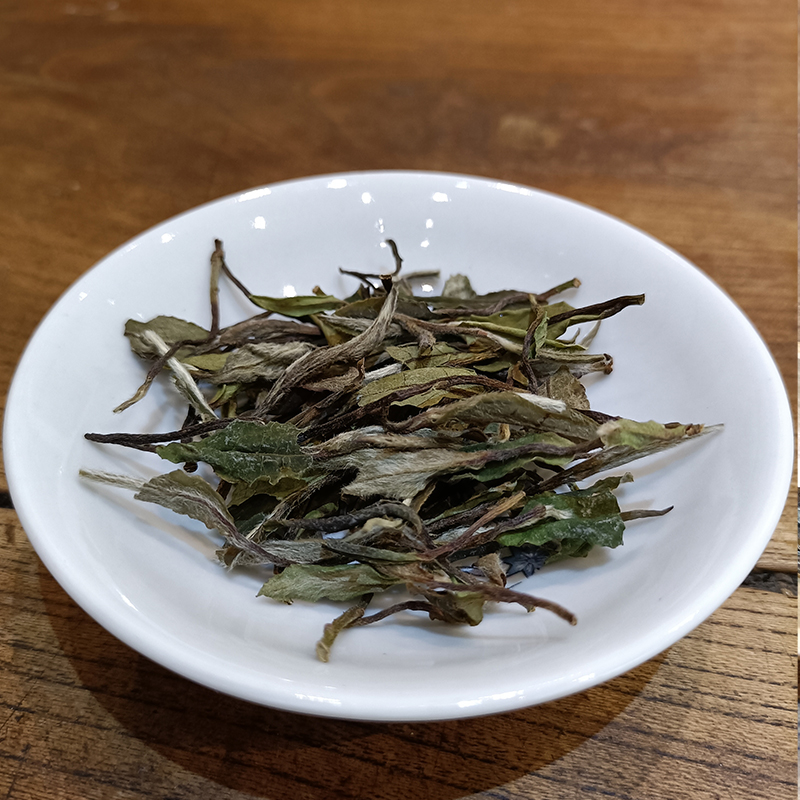 白茶白牡丹茶叶福建福鼎政