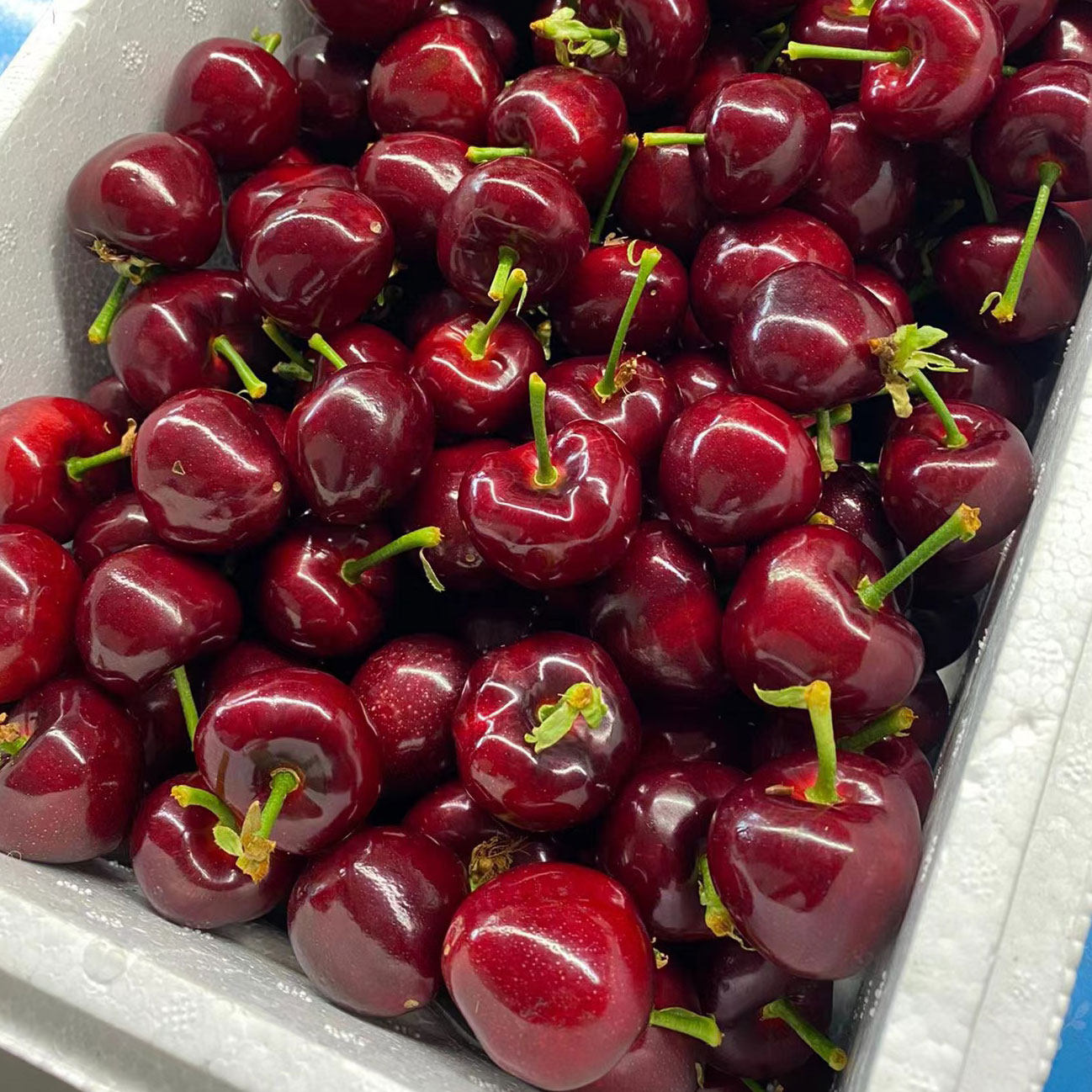 智利大果礼盒5斤4j3j孕妇车厘子2斤樱桃车厘子
