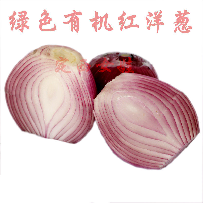 葱头21年甘肃洋葱洋蒜转基因新鲜蔬菜红洋无公害其它