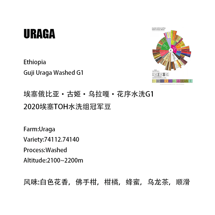 soe意式咖啡豆埃塞俄比亚古姬乌拉花序水洗g1单一咖啡豆