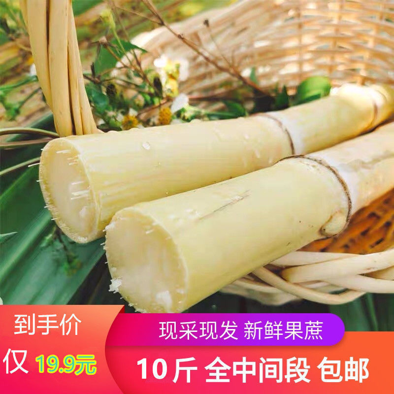 云南黄金甘蔗现砍黄皮新鲜应季水果孕妇脆甜杆整箱非广西黑皮