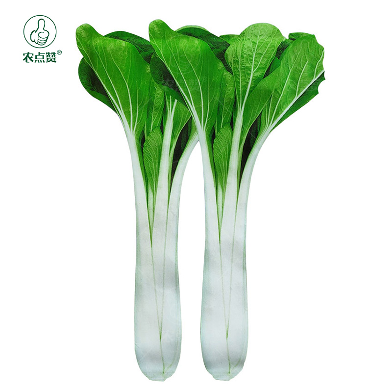 秋季种子白杆菜种籽青菜菜种高杆白白菜高脚长梗家庭园艺种子