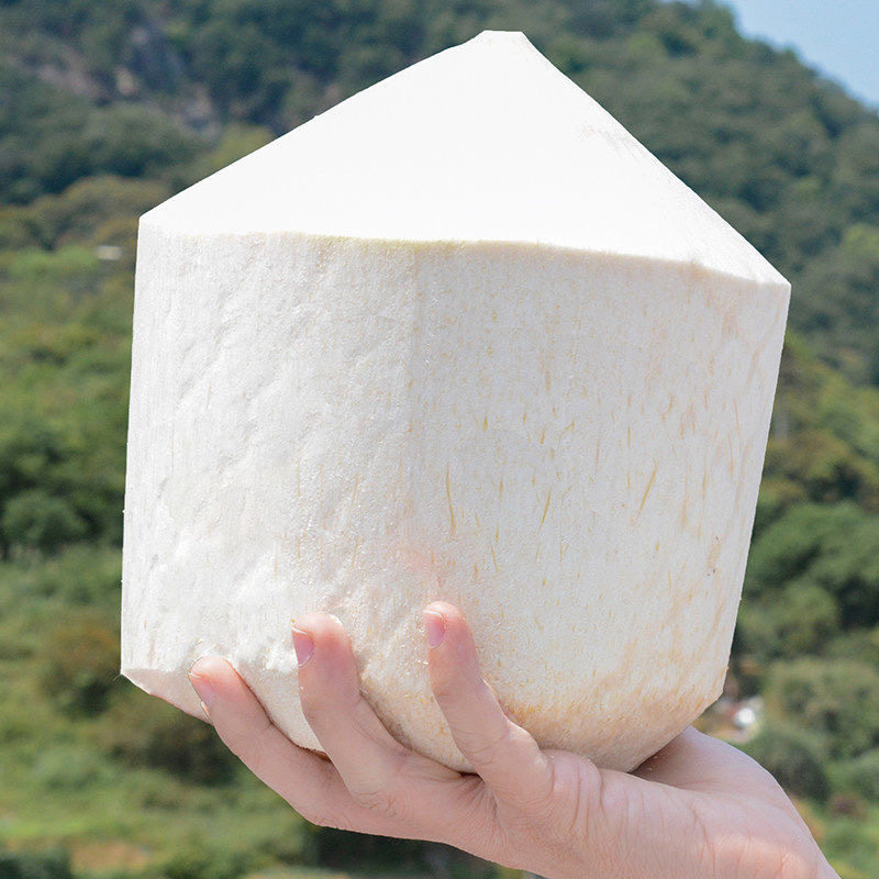 佳沃椰青2斤超大果泰泰国进口joyvio香水椰汁椰青