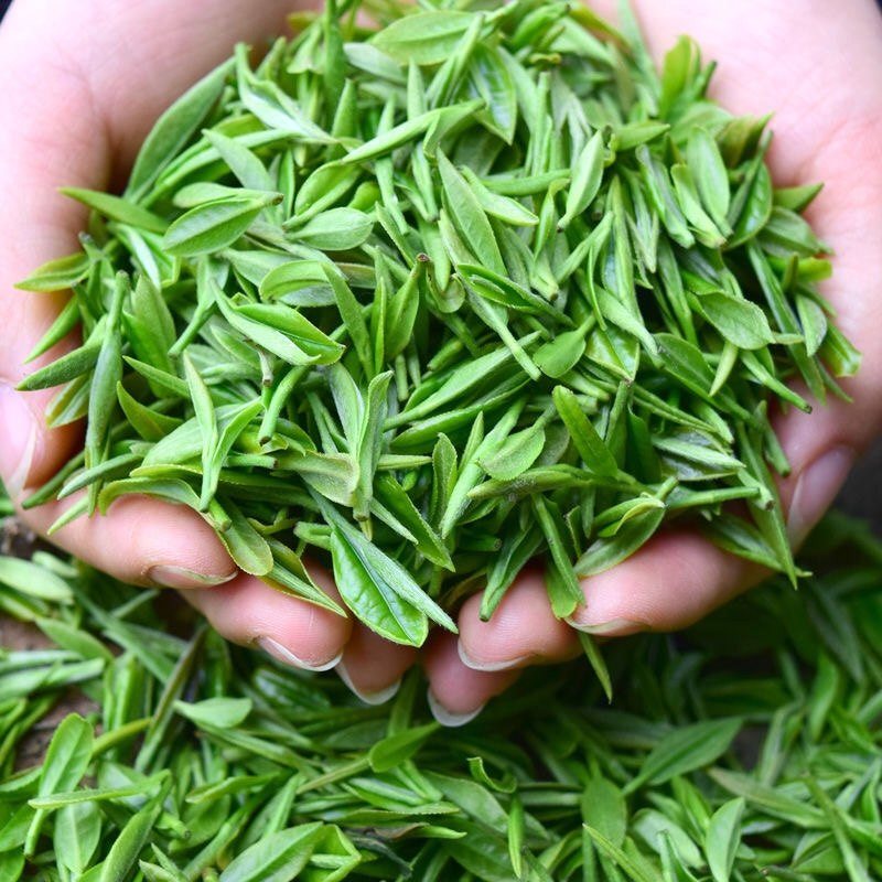 绿茶2021新茶上市湖北保康茗茶散装浓香炒青茶叶包装