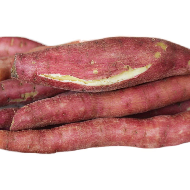 珍妹陕西板栗红薯新鲜地瓜5斤9斤婴儿老人笔记本零部件