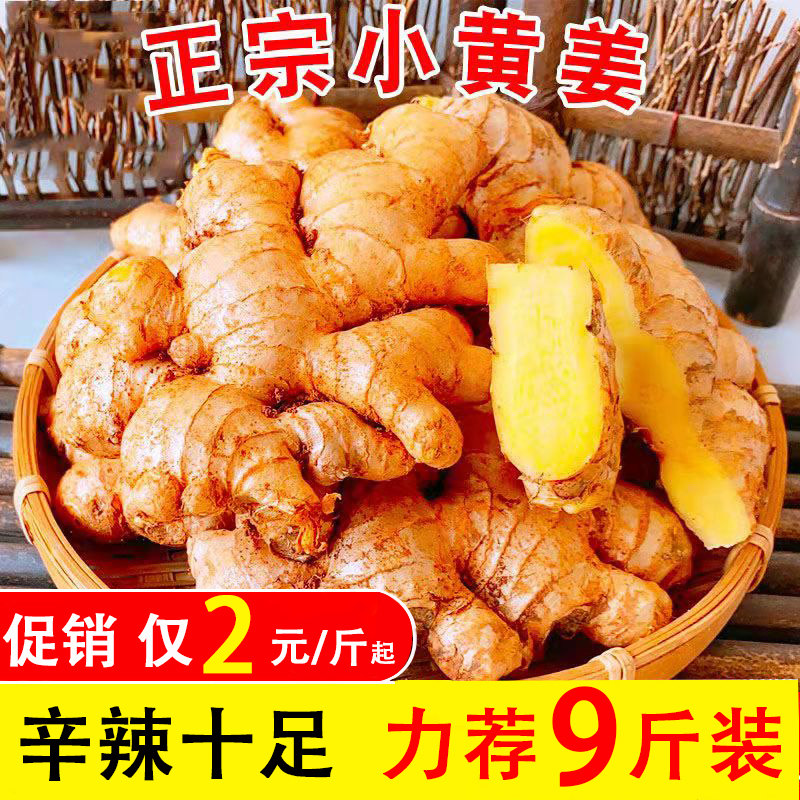 黄姜新鲜鲜姜嫩姜土姜沙姜老黄云南农家姜新鲜生姜