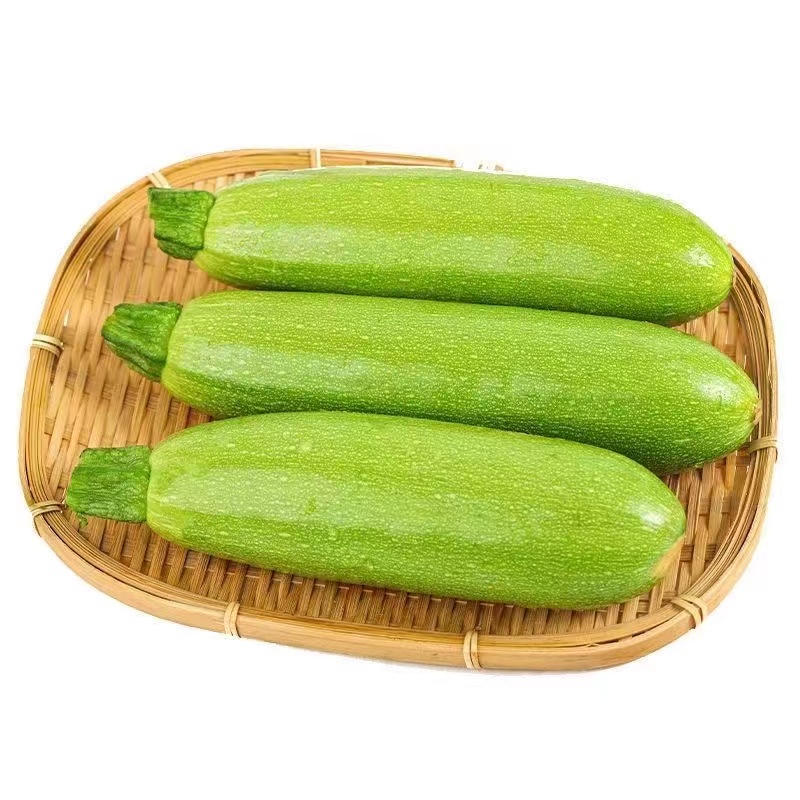 云南新鲜西葫芦瓜现豆角茭瓜三月番瓜菜瓜特价其它