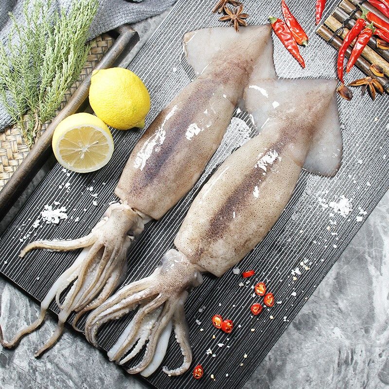 数乡宝藏深海鱿鱼450g4包冷冻鱿鱼