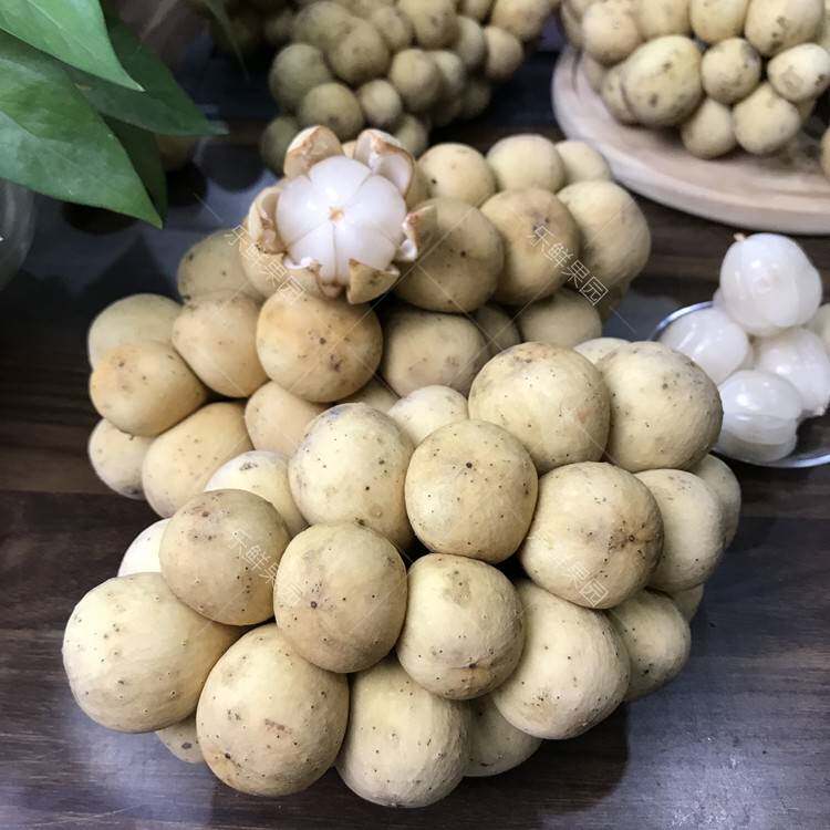 泰国进口龙宫2斤精选新鲜特产枇杷椰色果龙其它