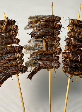 串烧烤串油炸食材蝗虫串冷冻蚂蚱