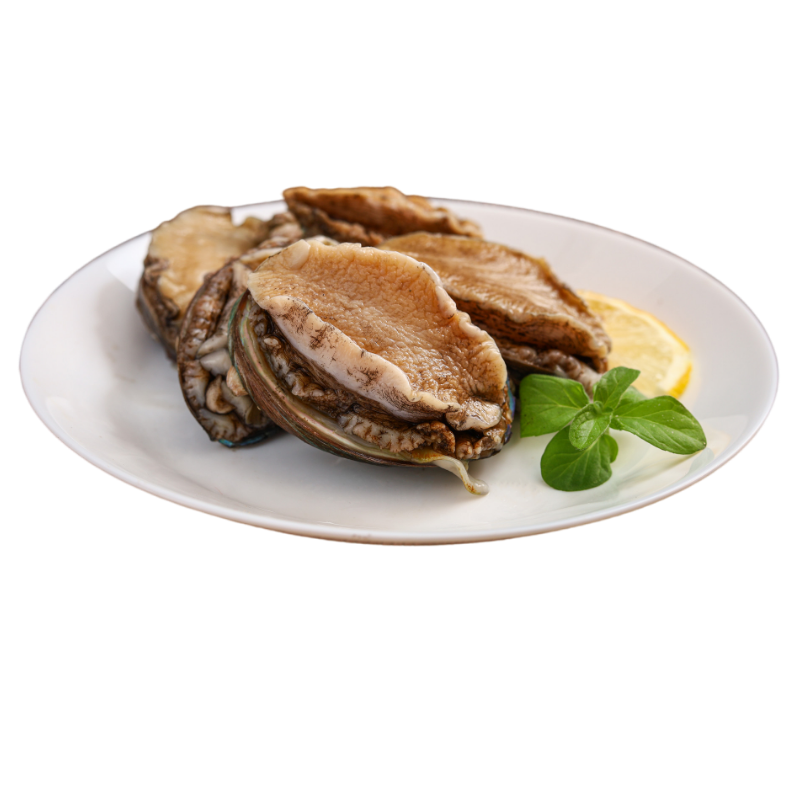 鲍鱼东山大连鲜活超低温冷冻贝壳新鲜捕捞500克鲍鱼