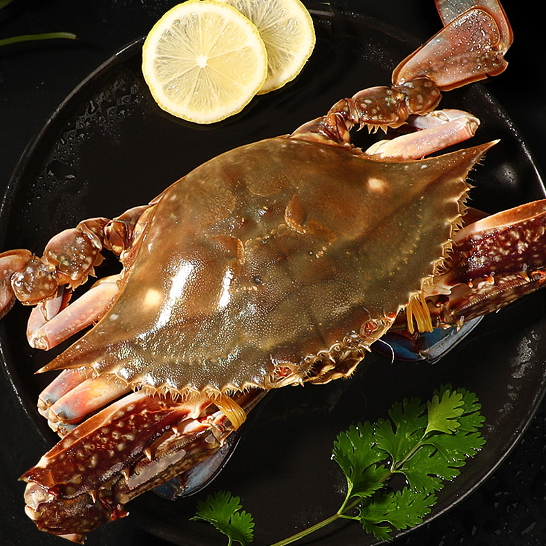 飞蟹白蟹公蟹新鲜水产海鲜螃蟹海蟹3斤鲜活冷冻鱿鱼