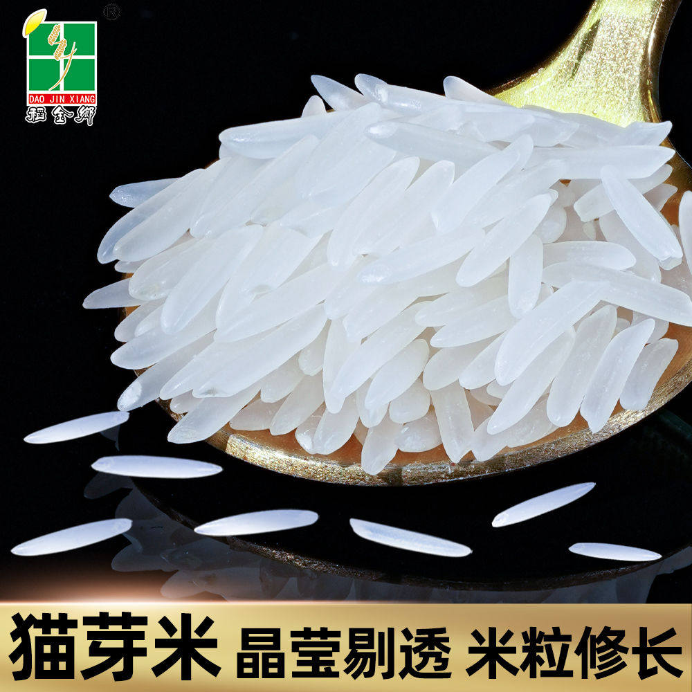 大米稻金乡正宗猫牙米10斤20斤装长粒特长泰国香米大米