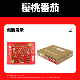 【一颗大】玲珑串樱桃番茄新鲜自然熟小西红柿应季水果1kg/盒