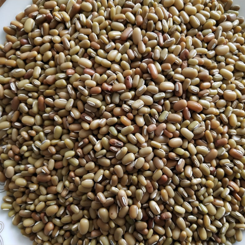 重庆石柱特产高原米豆新豆米小豆菜豆其它