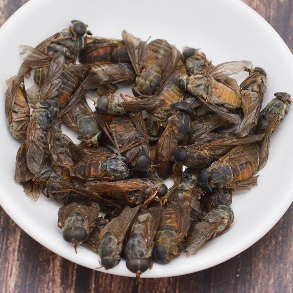 正宗牛虻虫500g特级名贵中药材牛氓虫药用牛芒虫大个