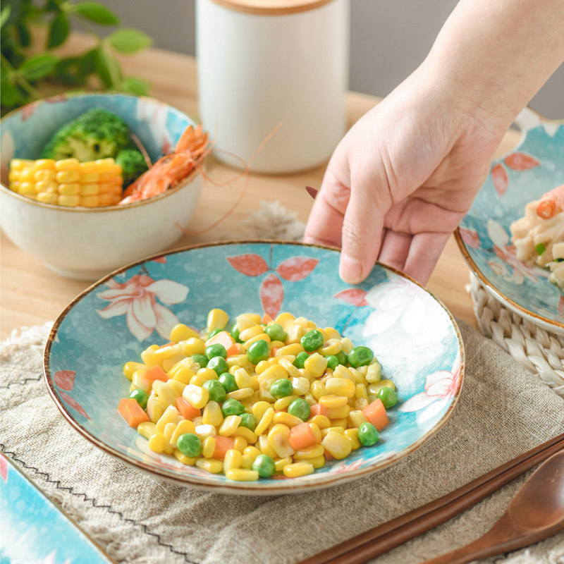 日式陶瓷盘子菜盘家用6个创意ins风网网红盘