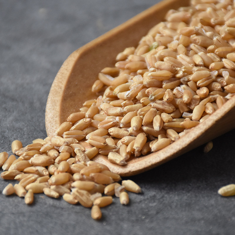 贵臣淮小麦500g克包邮甘麦大枣汤原料怀小麦非野生中药材店铺大全