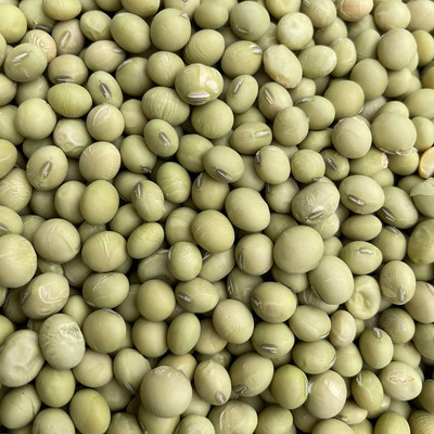 非转基因农家自种青皮豆浆豆芽散装500g黄豆