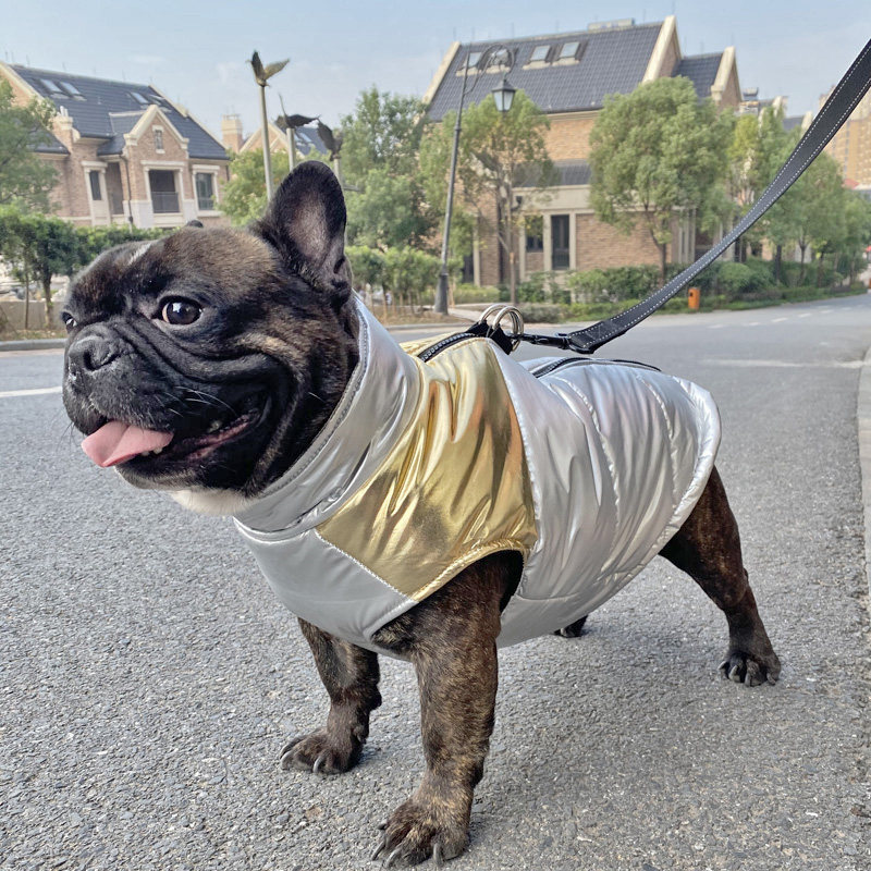 法国斗牛犬衣服宠物棉衣巴哥沙皮狗狗秋冬装法狗宠物服装