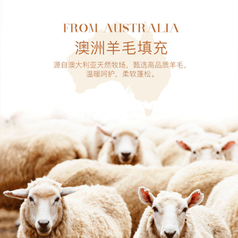 羊毛南极人澳洲纯羊被子加厚保暖棉被冬天绒被羊毛被