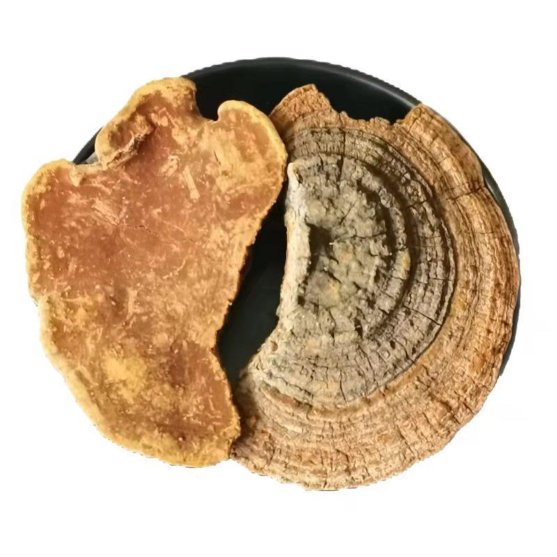 益草中药材精选野生正品槐耳槐蛾槐菌槐蘑灵芝其他药食同源食品