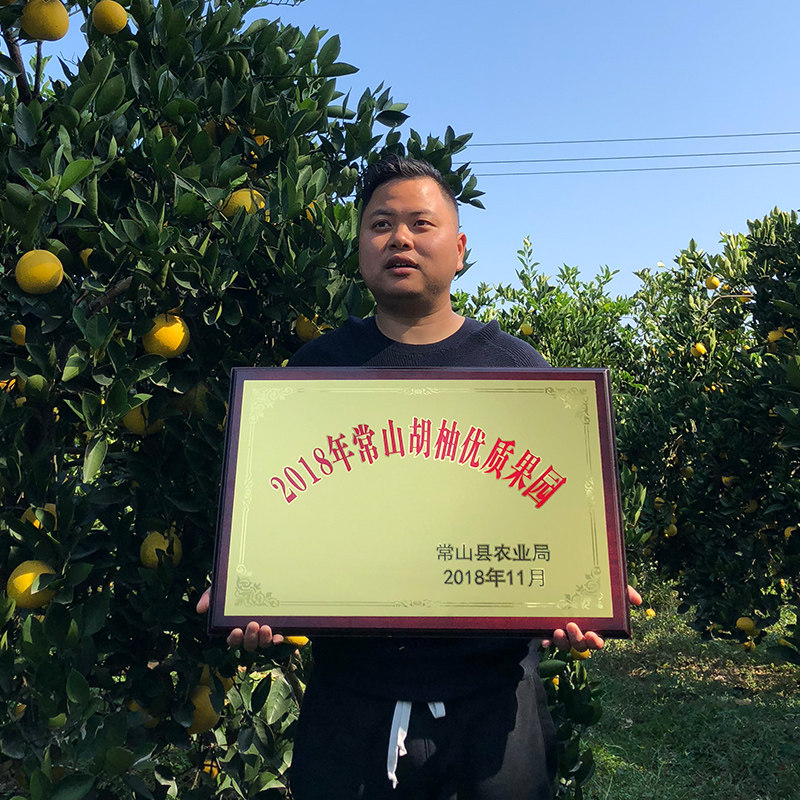 新鲜常山胡柚8斤礼盒装
