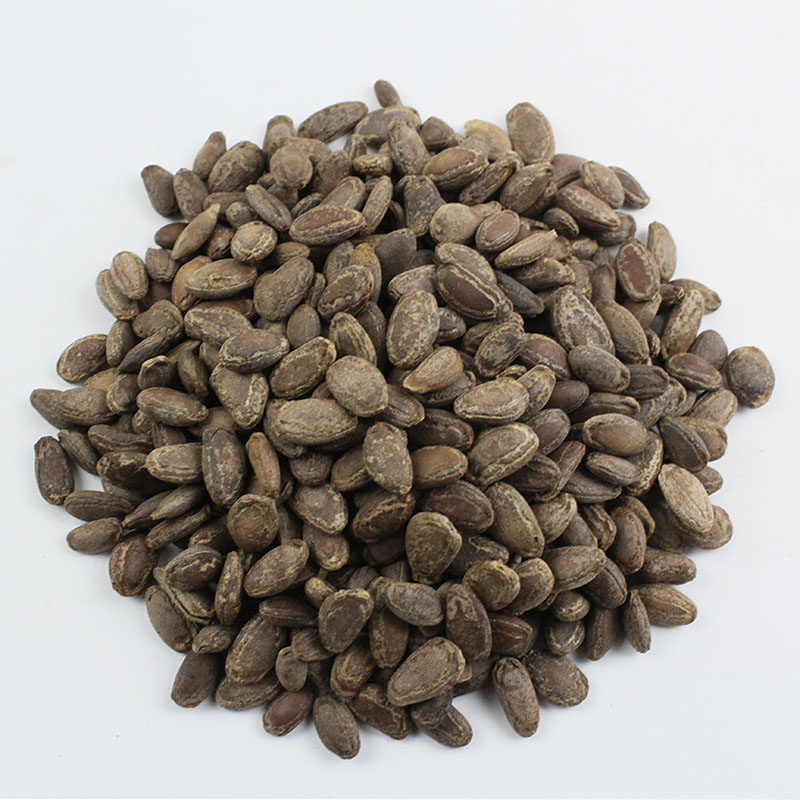 瓜蒌仁 中药材 瓜蒌子 瓜蒌仁 栝楼仁 瓜米 炒瓜蒌子 满两件包邮-mc