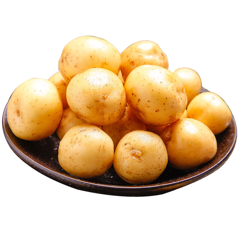 贵州高山新鲜黄心小土豆4斤特价包邮洋芋马铃薯农家自种蔬菜