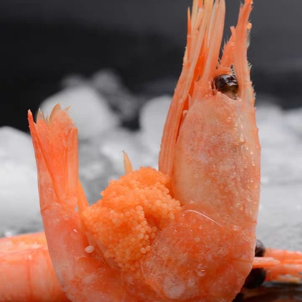 北极鲜活虾刺海鲜水产甜虾新鲜超大速冻虾即冻虾