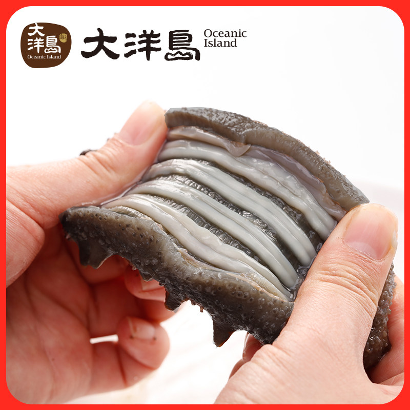 海参大洋岛即710头大连刺参56年500g4袋包装海参