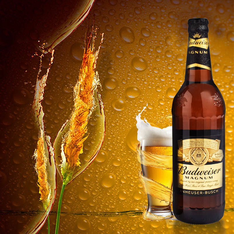 啤酒百威正品黑金600ml瓶装整箱尊享版精啤酒