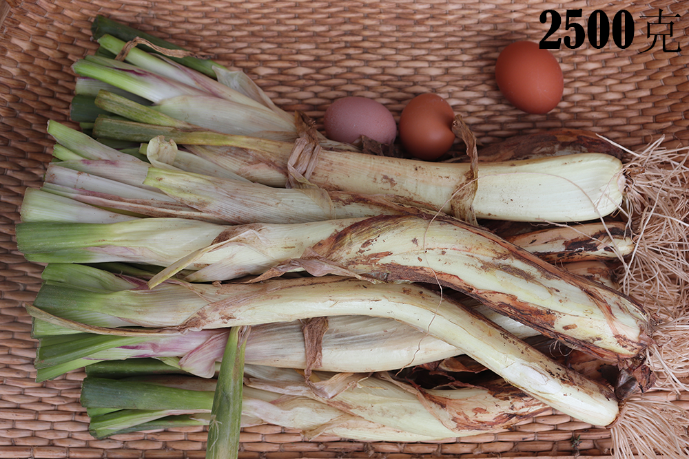 陕北食用红葱新鲜去根去叶铁锅羊肉红皮葱红葱类