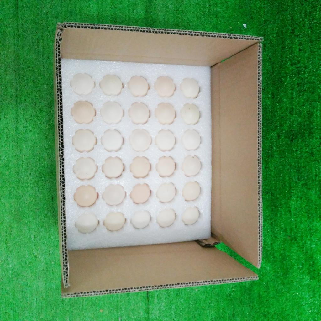 鸡蛋珍珠30枚快递防震泡沫箱土草鸡包装礼品盒野餐篮