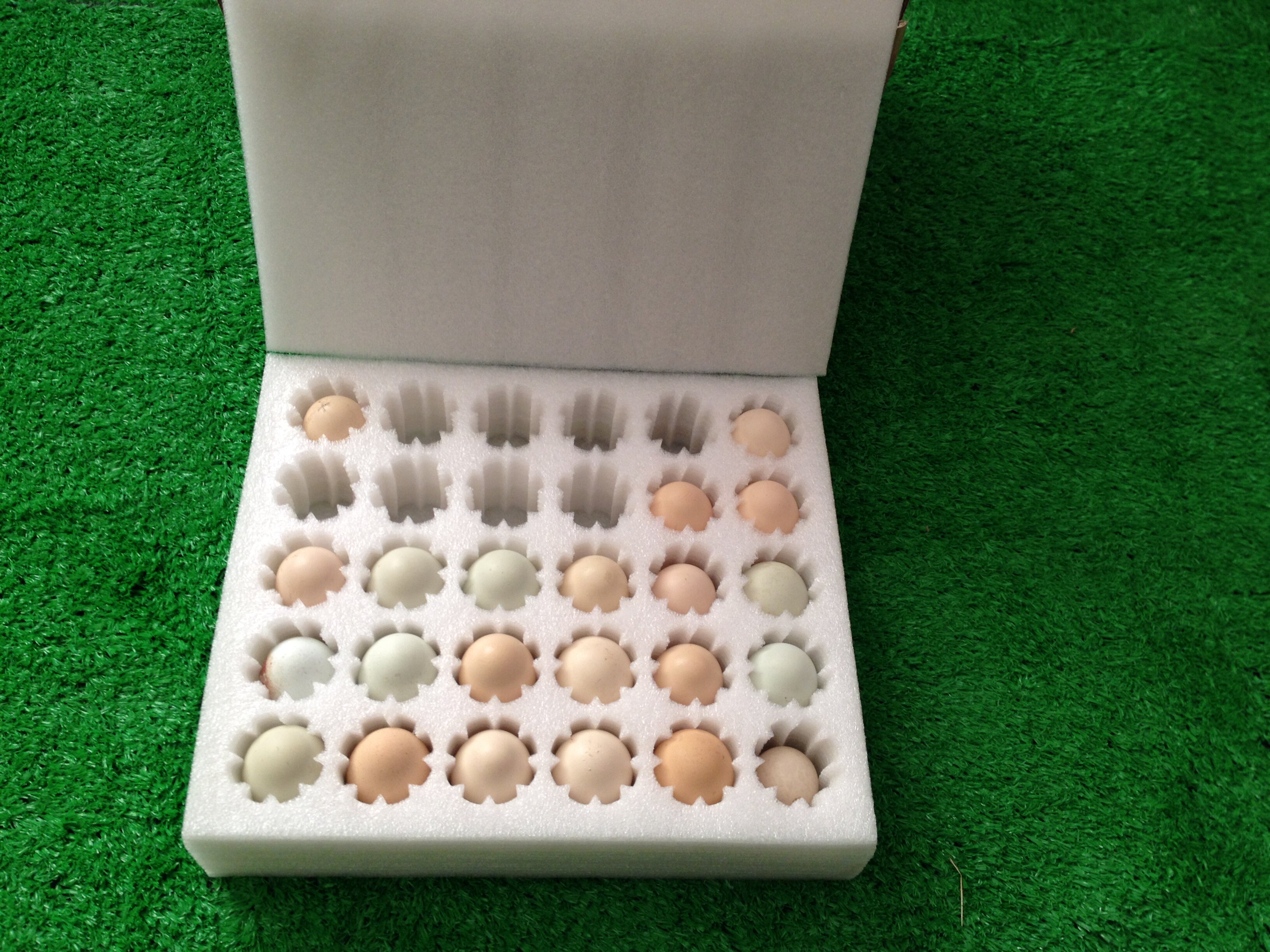 鸡蛋30枚珍珠棉土草鸡防震泡沫易碎快递包装野餐篮