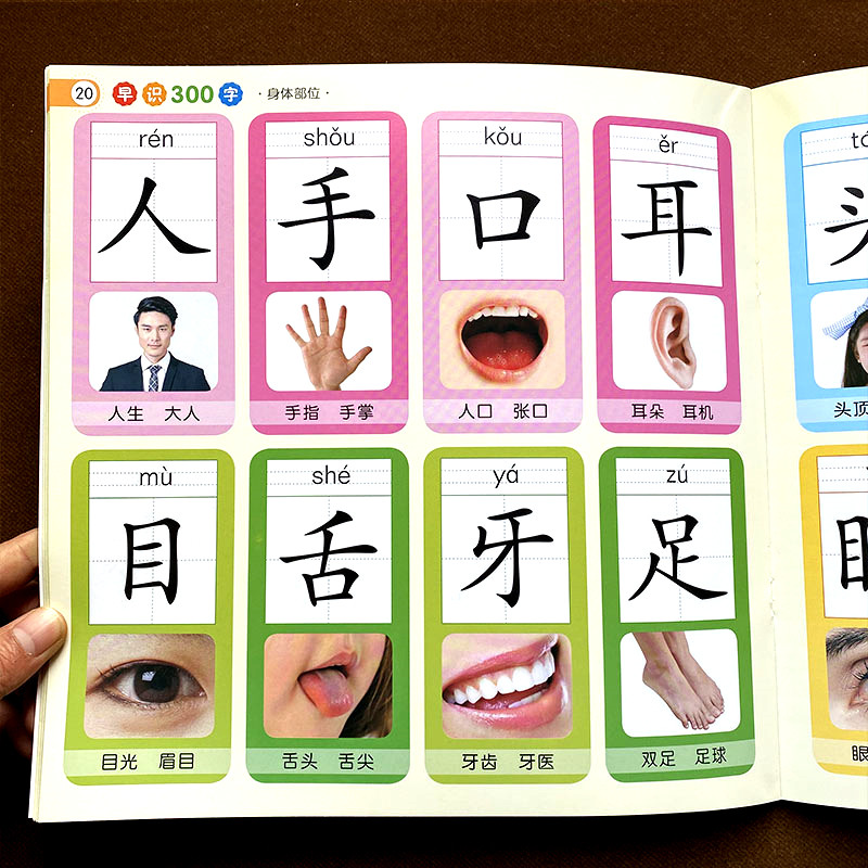 识字字书看图幼儿园汉字早教大图幼儿简单教材启蒙认知书