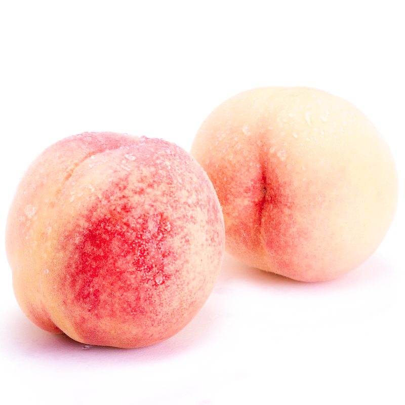 无锡阳山水蜜桃正宗 大个软桃子当季水果新鲜现摘5两左右12个湖景